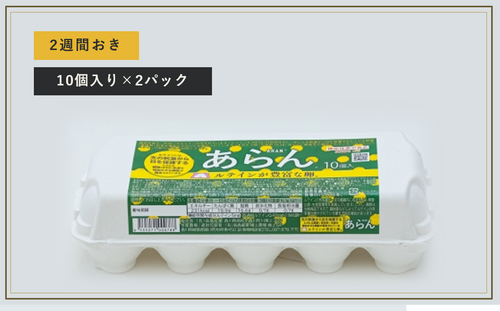 【定期便】あらん 10個入り ・ 2パック入　（送料別）