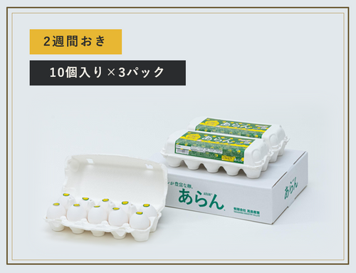 【定期便】あらん 10個入り ・ 3パック入　（送料別）